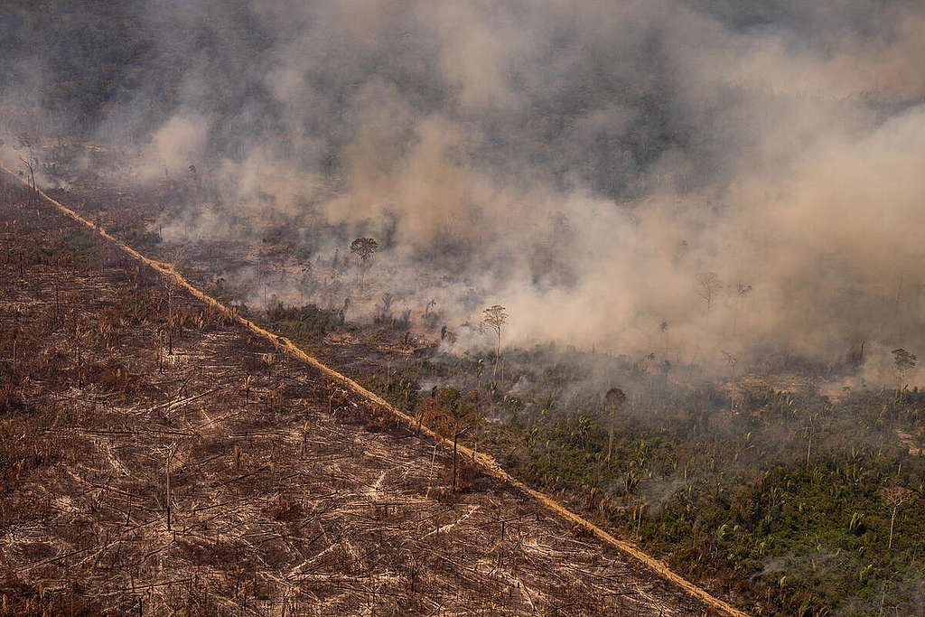 Foto mostra fogo avançando sobre área em processo de desmatamento, com muita fumaça.