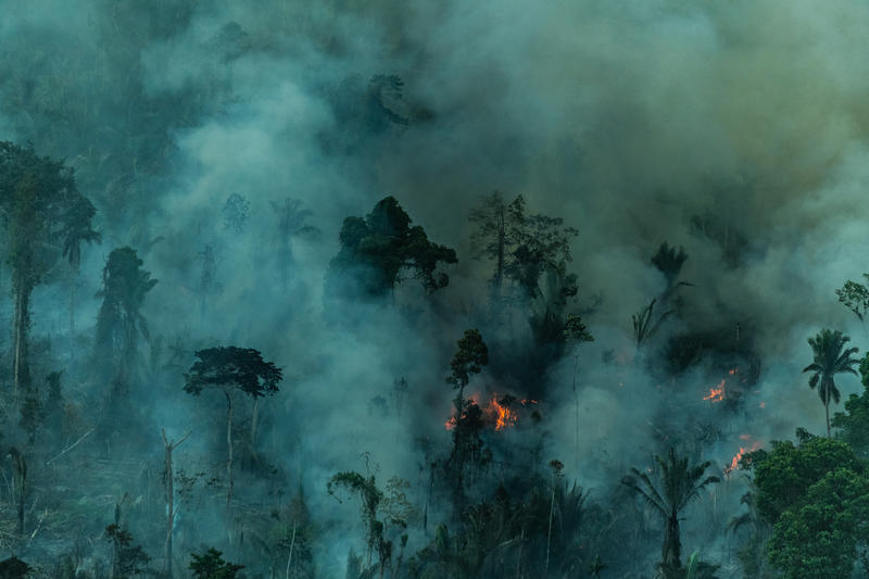 Imagem da floresta amazônica sendo desmatada
