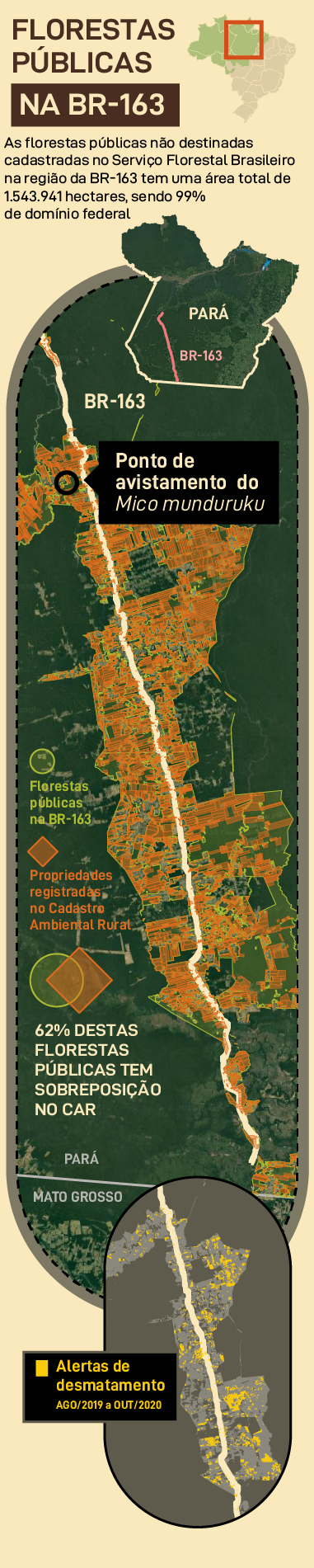 Florestas públicas na BR-163