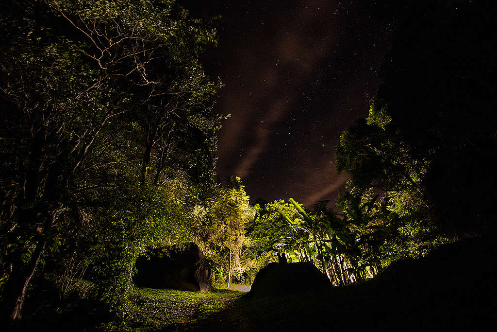 A entrada da floresta à noite.