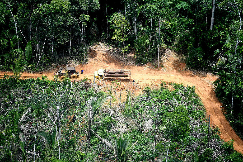 Em Rondônia, lideranças indígenas posicionam-se contra lei que reduziu  unidades de conservação e impacta seus territórios