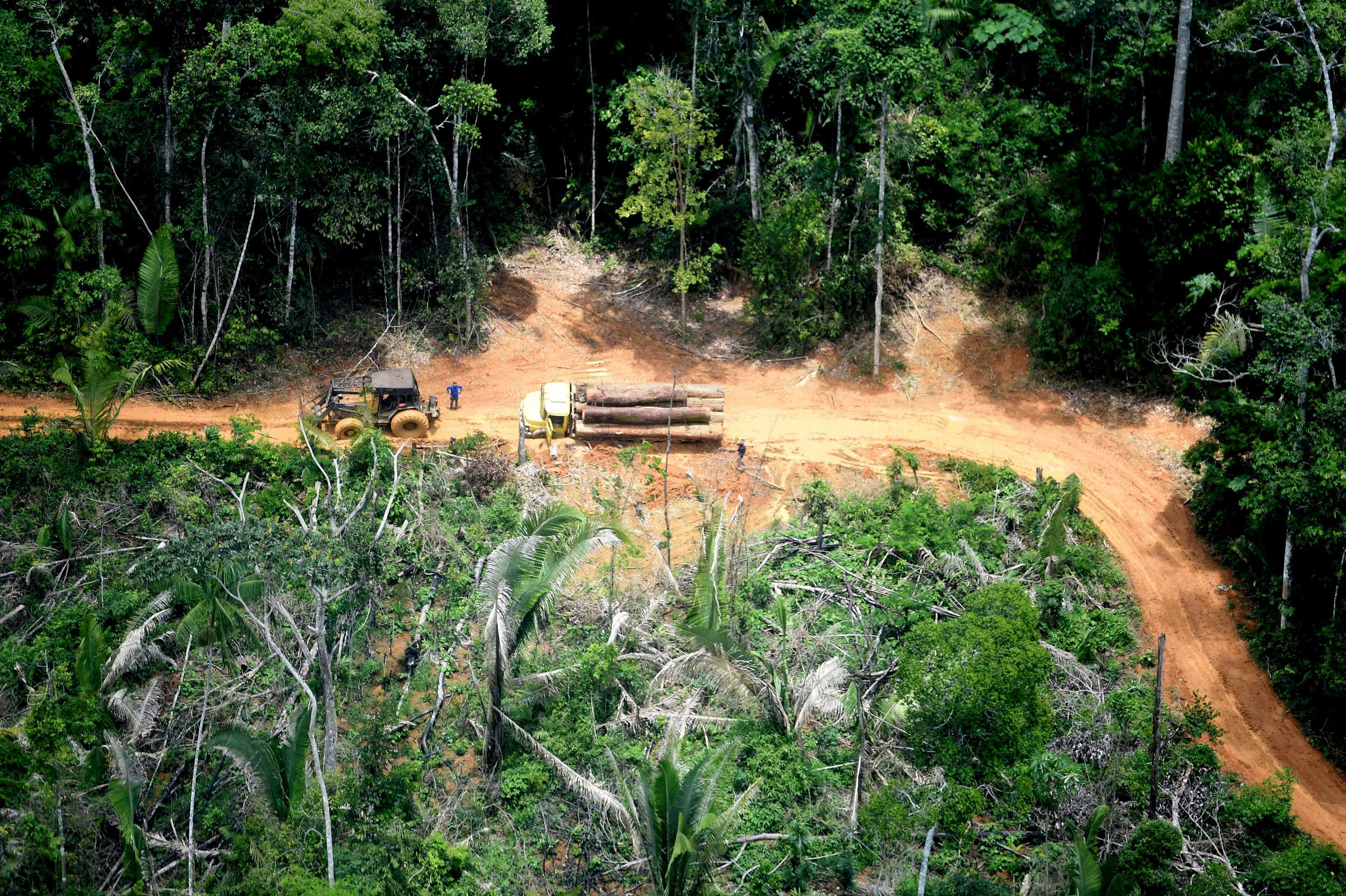 Povo Karipuna processa União, Funai e estado de Rondônia por invasões e devastação da terra indígena