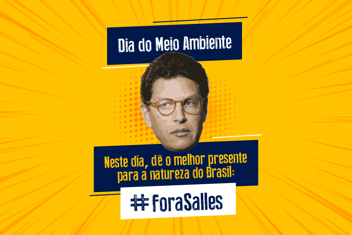 No Dia do Meio Ambiente, dê de presente um #ForaSalles para a natureza