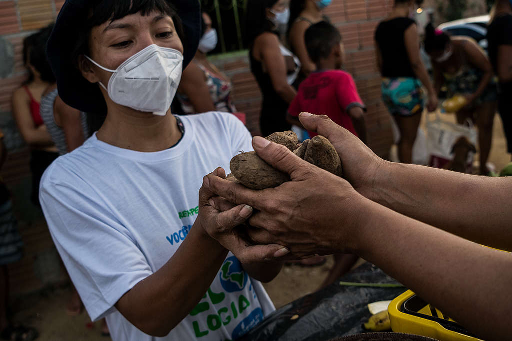 No último final de semana, a campanha Agroecologia contra a Fome levou 493 cestas com comida de verdade para sete comunidades em três capitais do país. 