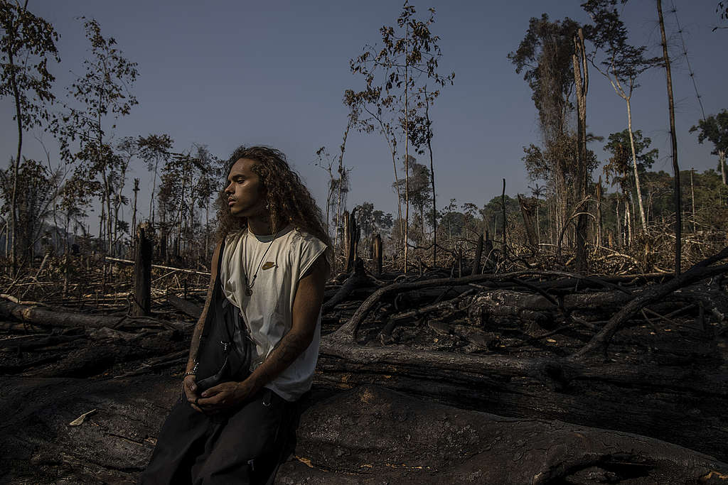 Vitão, embaixador da Brigada Digital do Greenpeace Brasil. Foto: Fernanda Ligabue/Amazônia em Chamas