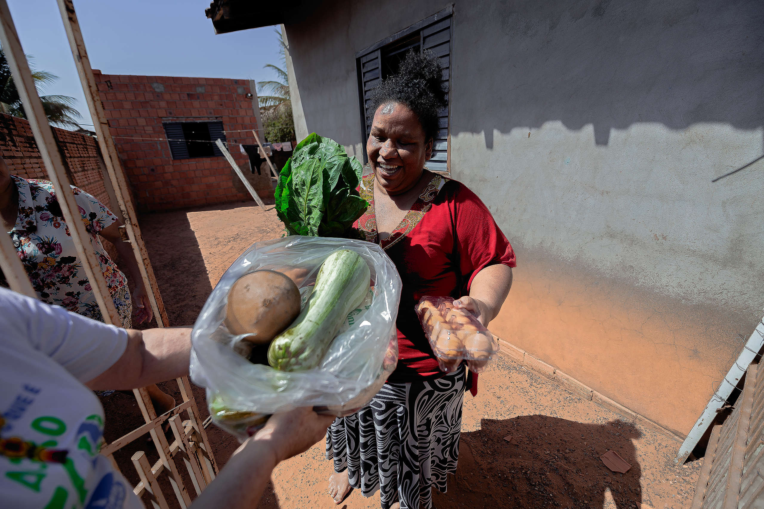Colheita em assentamentos, organização e doação de cestas em Rondonópolis Foto: Francisco Alves /Greenpeace