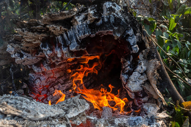 Fogo na Amazônia