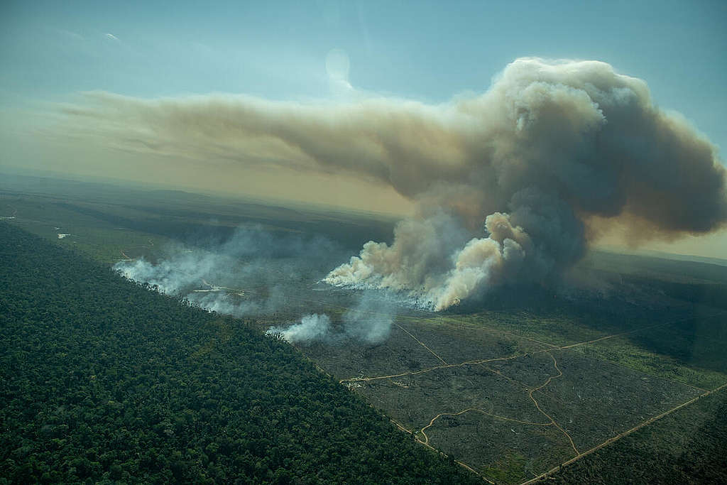 Foto tirada de avião mostrando grande área de floresta na esquerda, uma pequena área de floresta na direita e ao centro uma vasta área já desmatada e pegando fogo. Acima dela, nuvens de fumaça densas e acinzentadas. 
