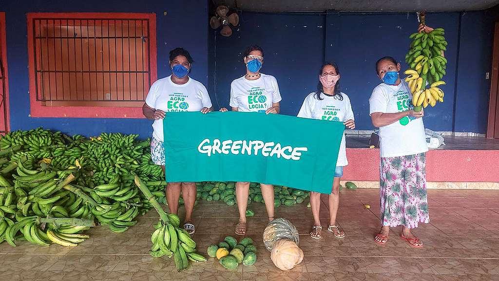 Voluntários em Altamira ajudando na entrega de alimentos agroecológicos Voluntários em Altamira ajudando na entrega de alimentos agroecológicos