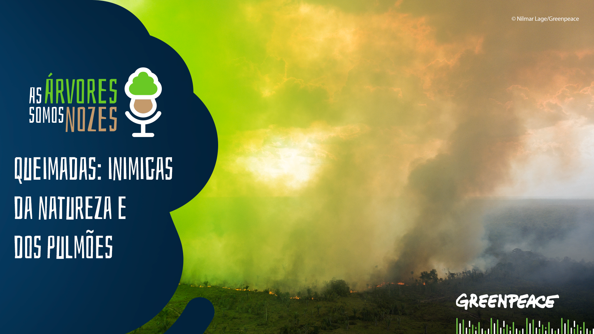 As Árvores Somos Nozes 52 – Queimadas: inimigas da natureza e dos pulmões