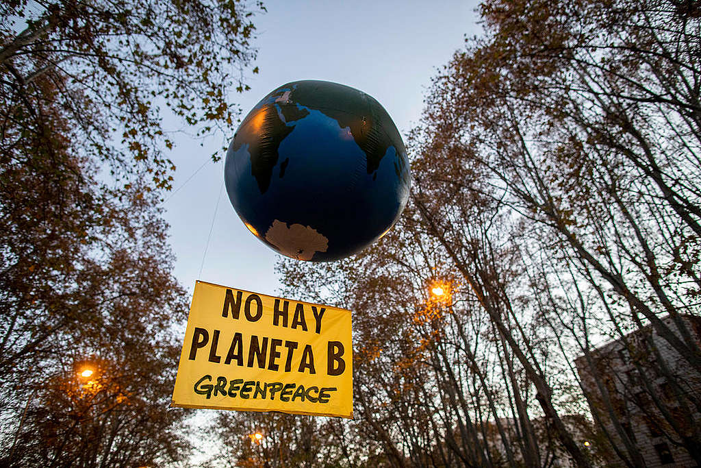 Dia Mundial do Meio Ambiente: Você sabe qual é a importância? - Greenpeace  Brasil