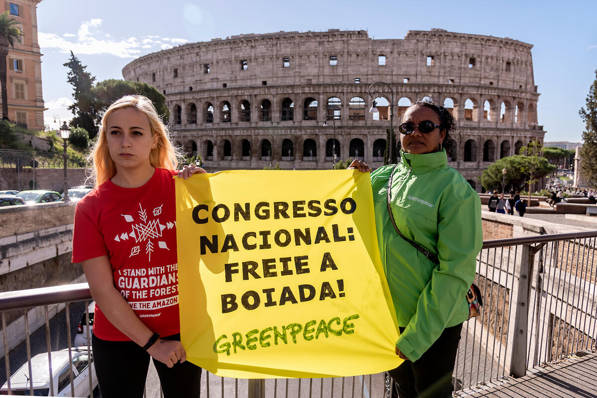 mostrar ativistas contra os retrocessos no Congresso Nacional