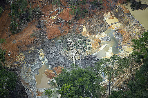 A morte dos rios - Greenpeace Brasil