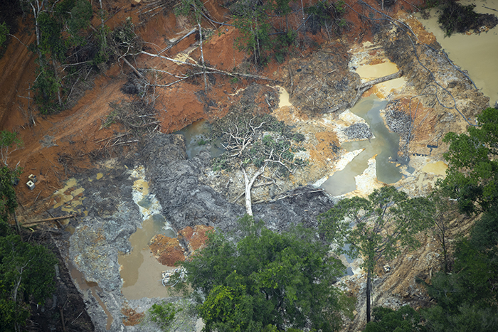 Pin em natureza e sociedade