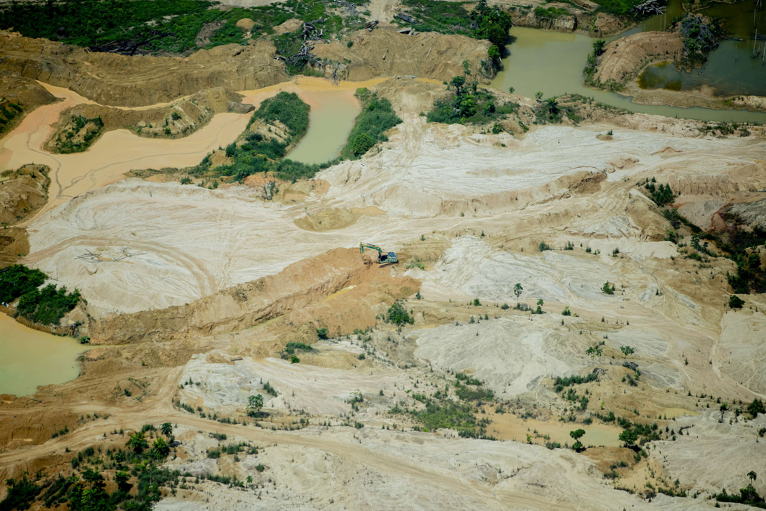 A morte dos rios - Greenpeace Brasil