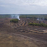 Alertas de desmatamento apontam para 249 km² de destruição na Amazônia em novembro