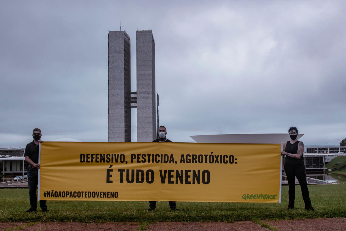 Protest Against the Poison Package in Brasília, Brazil. © Bárbara Cruz / Greenpeace