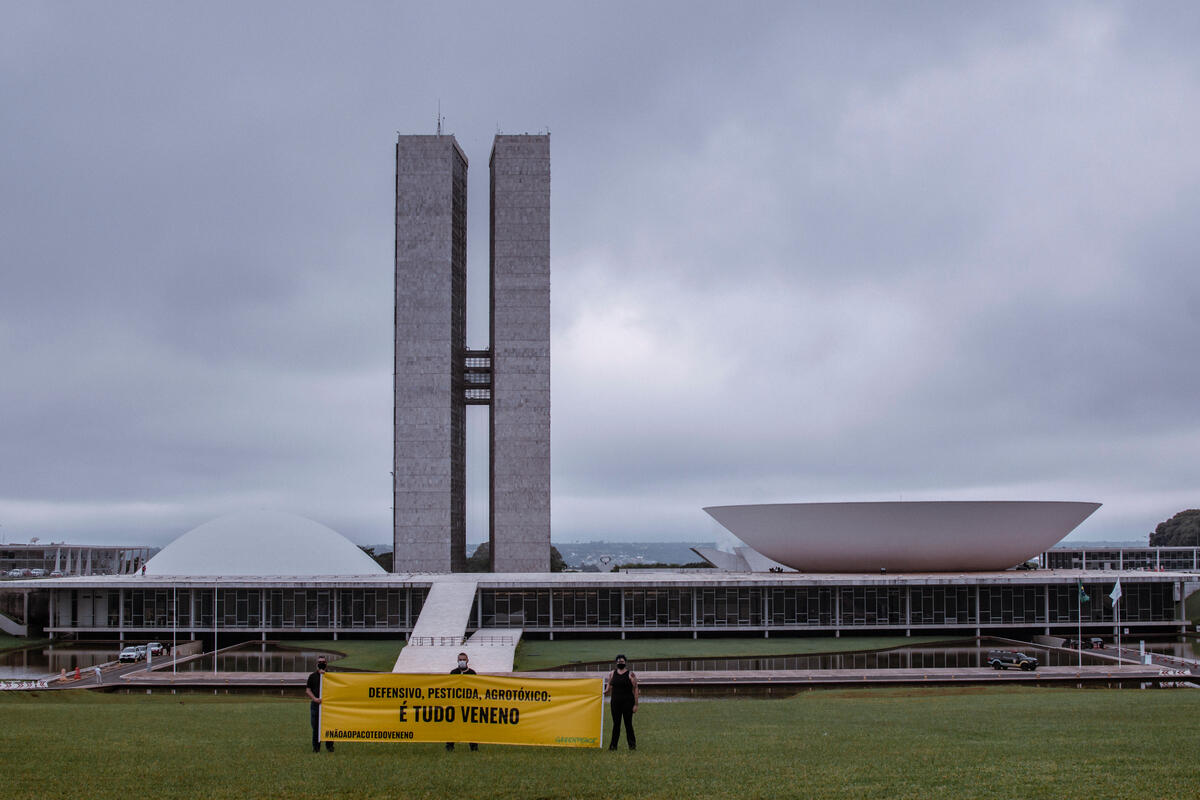 É hora de virar o jogo: PNaRA X PL do Veneno - Greenpeace Brasil