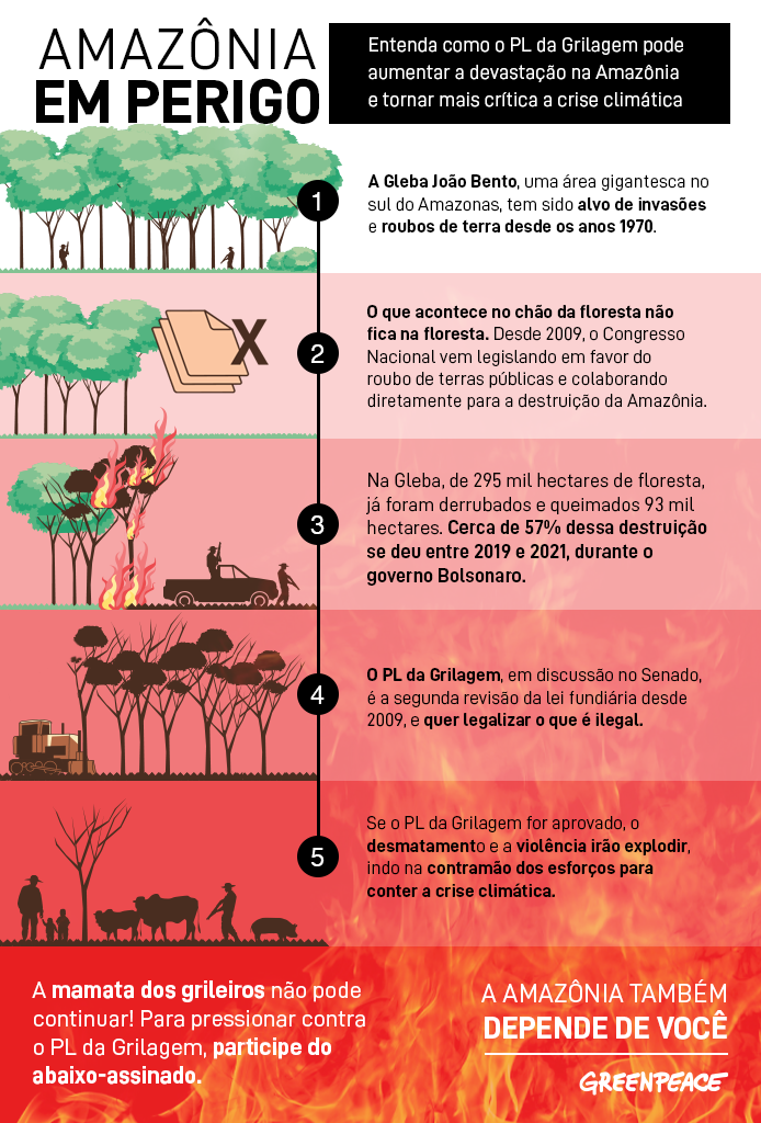 Infográfico que explica o esquema de grilagem 