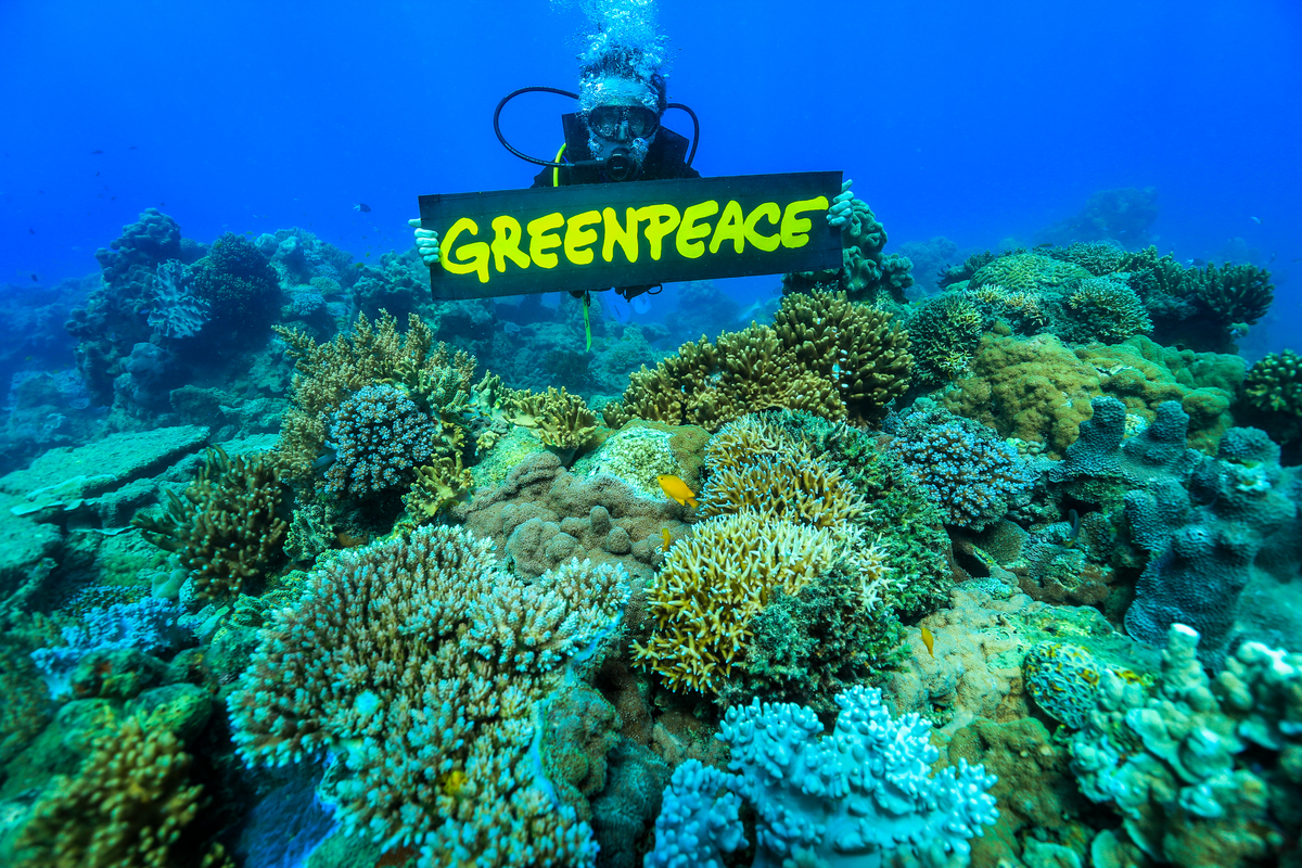 Por que precisamos de um Tratado Global dos Oceanos?