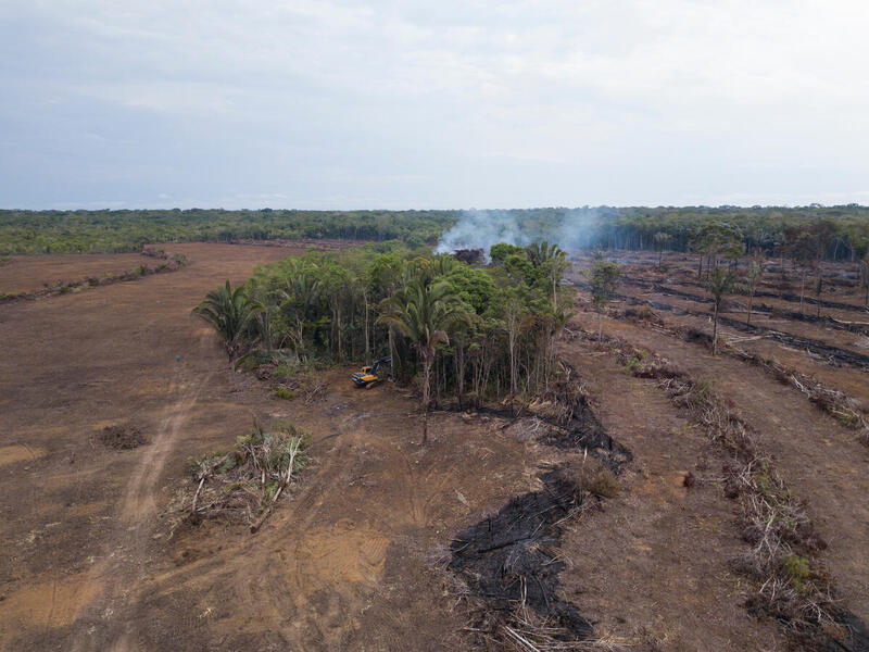 Área sendo desmatada, registrada em setembro de 2021, em Canutama, no Amazonas, o terceiro estado com mais alertas de desmatamento em fevereiro 