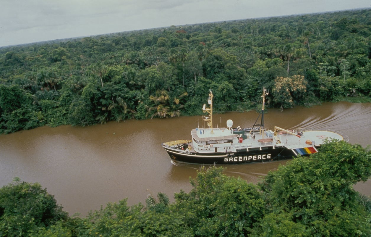 Forests Action against Timber from the Amazon