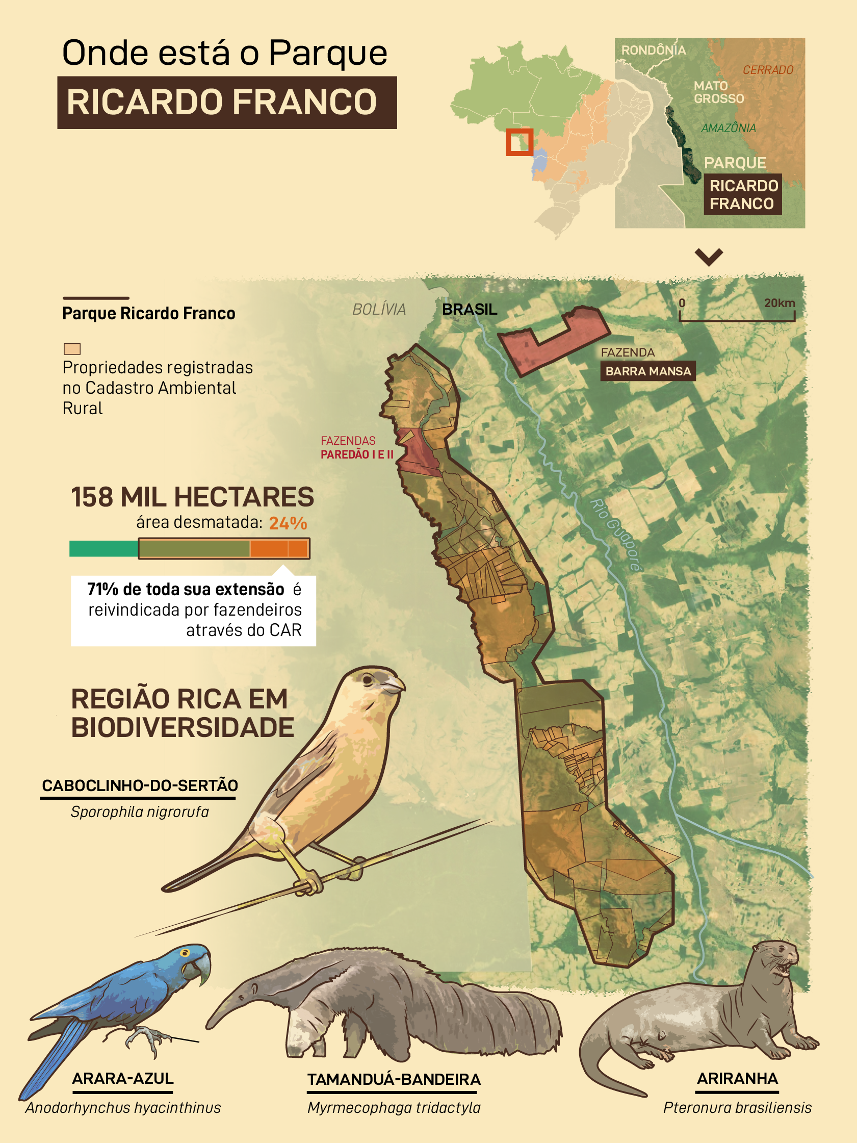 Deputados de Mato Grosso querem legalizar destruição de parque ambiental