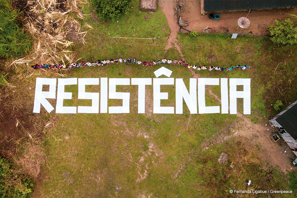 Greenpeace Brasil - Não pode ver um Quiz que já quer responder? 💙 Teste o  quanto você sabe sobre o Greenpeace e o meio ambiente e desafie seus amigos  também