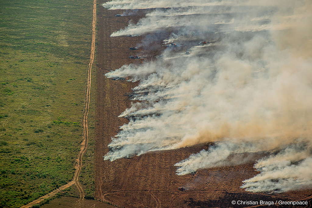 Vista aérea de campos com muita fumaça