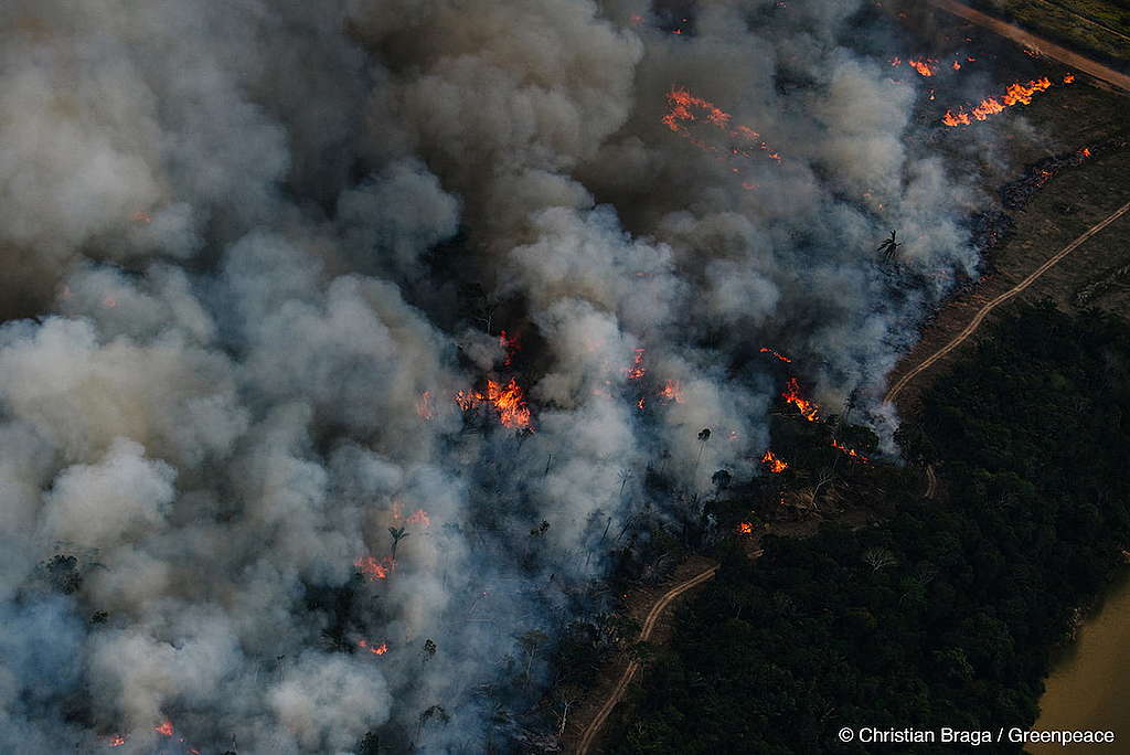 Vista aérea de uma área da Amazônia em chamadas com uma grande cortina de fumaça