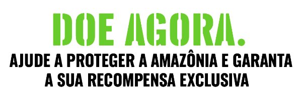 Greenpeace Brasil - Não pode ver um Quiz que já quer responder? 💙 Teste o  quanto você sabe sobre o Greenpeace e o meio ambiente e desafie seus amigos  também