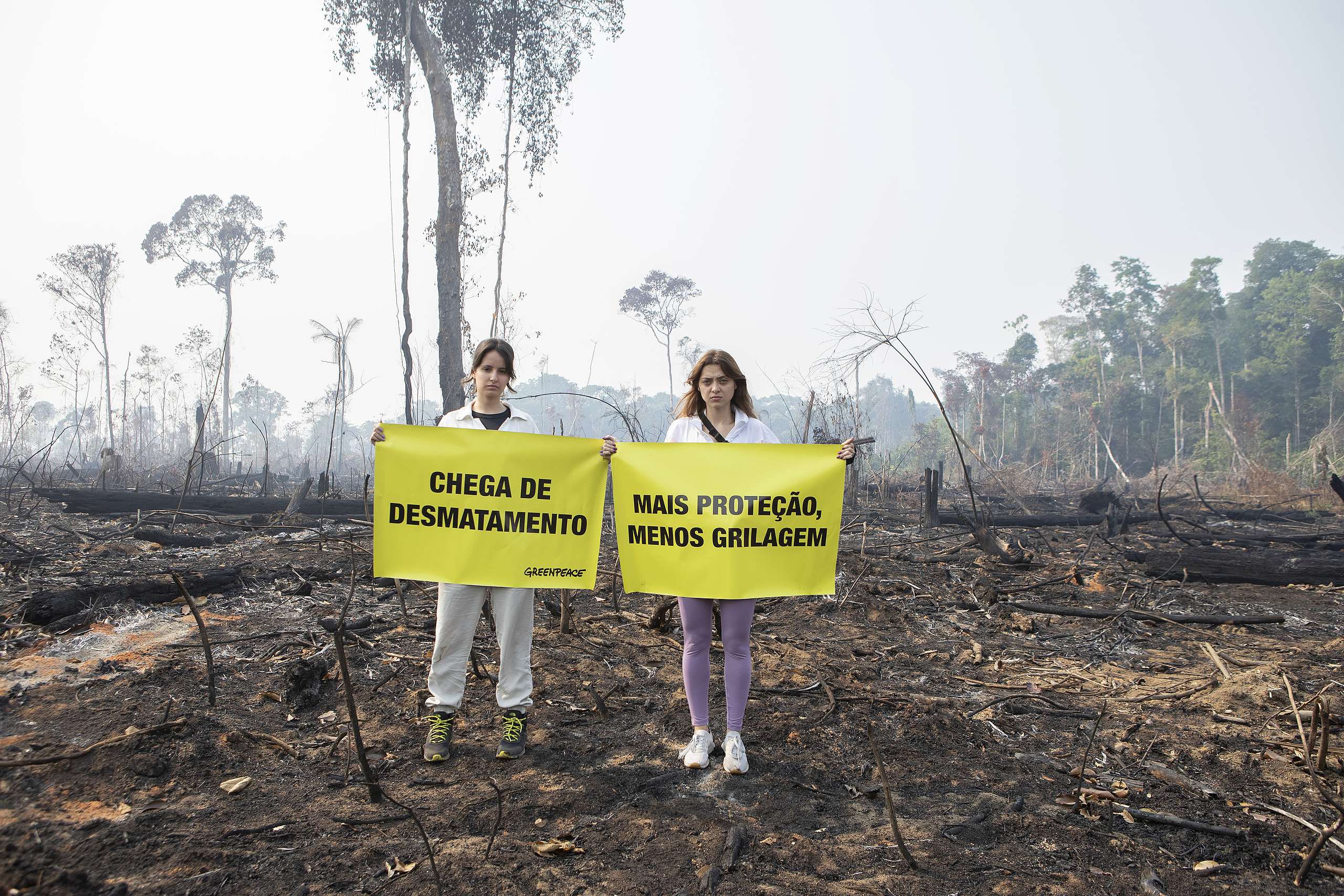 Desmatamento da Amazônia tem queda de 22% em 2023 - Greenpeace Brasil