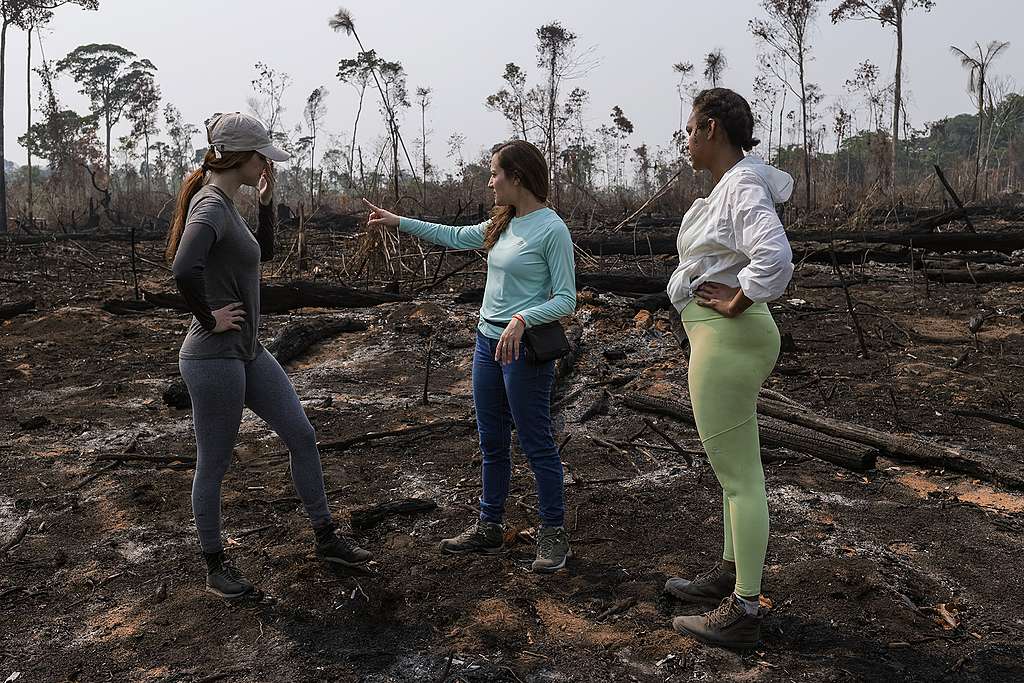 A atriz brasileira Sophia Abrahão e a bióloga e influenciadora digital Jessi Alves estiveram conosco em campo para testemunhar o impacto do desmatamento e das queimadas na Amazônia. © Tuane Fernandes / Greenpeace