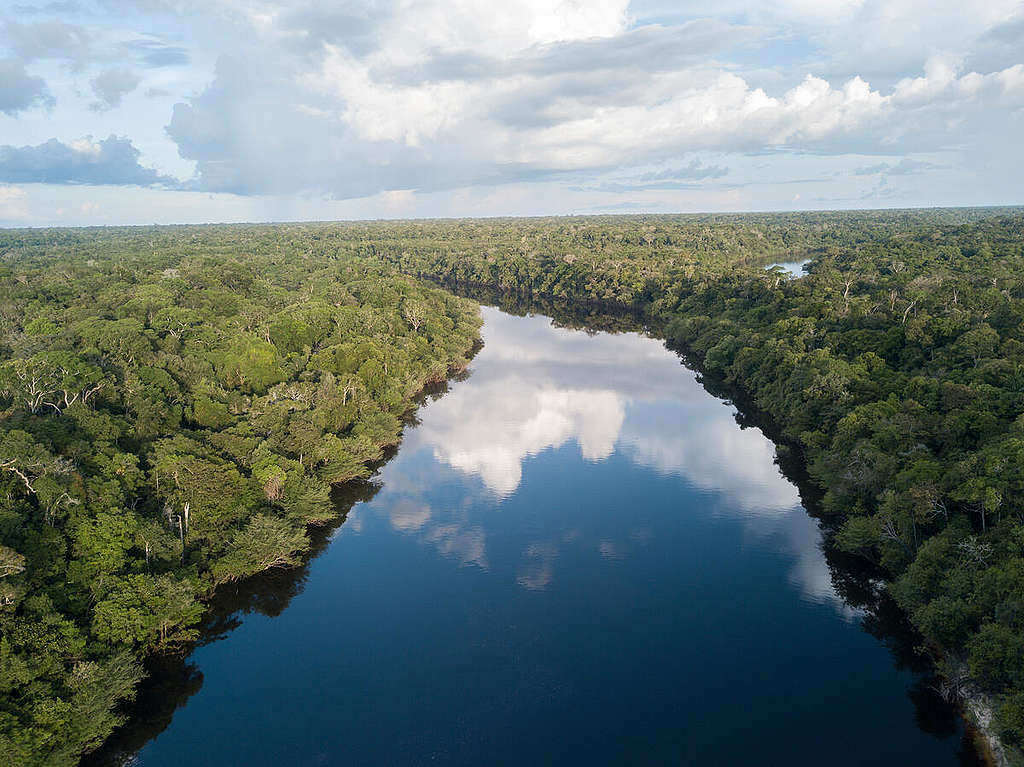 Beauty of the Manicoré River, Amazonas, Brazil (Photos).