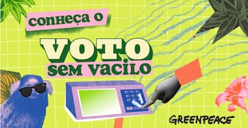 Greenpeace Brasil lança campanha “Voto Sem Vacilo” com vídeo em parceria com Porta dos Fundos