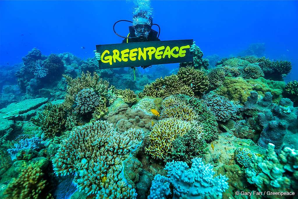 Foto de um mergulhador com uma placa do Greenpeace 