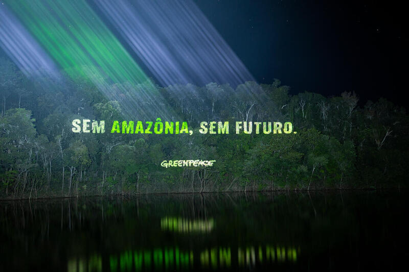 Desmatamento da Amazônia tem queda de 22% em 2023 - Greenpeace Brasil