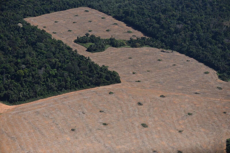 Foto aérea de um grande desmatamento na Amazônia