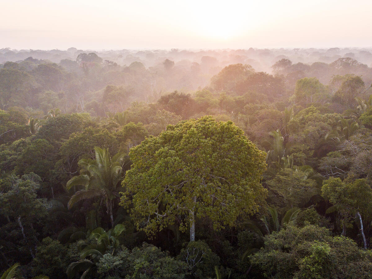 Financiamento Climático: o que era promessa se tornou pauta prioritária na COP27