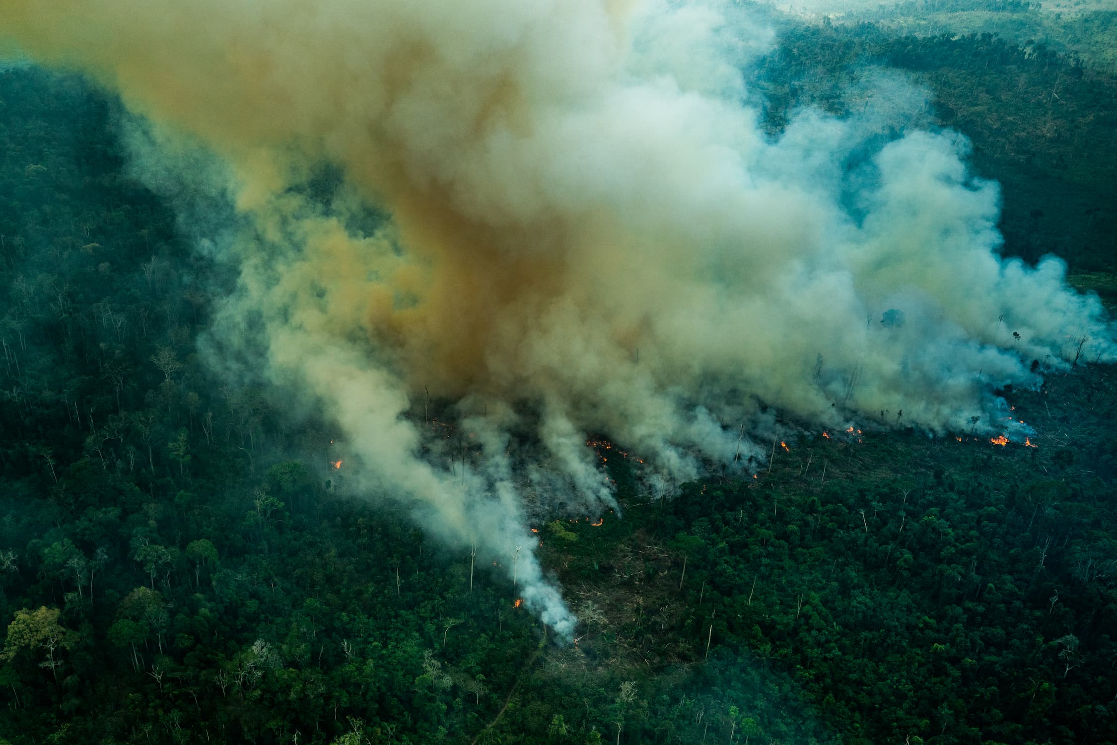Outubro registra 13.911 focos de queimadas na Amazônia 