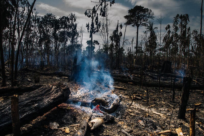 Em outubro, desmatamento da Amazônia supera marca histórica do Deter