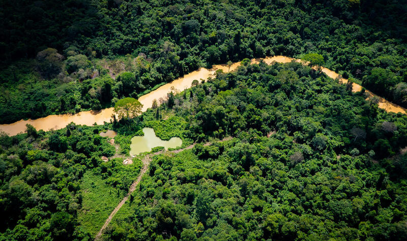 Foto de rio em meio a uma floresta