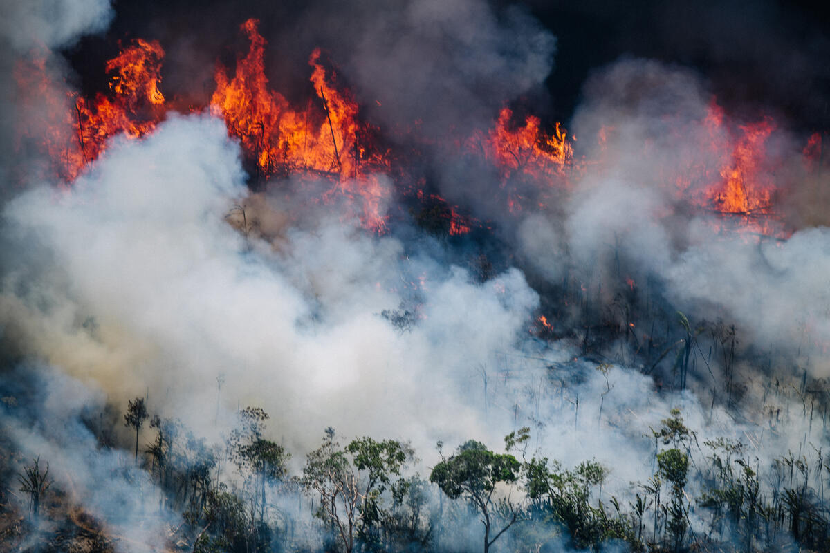 Legado de destruição: Amazônia perde 45.586 km² somente no governo de Jair Bolsonaro