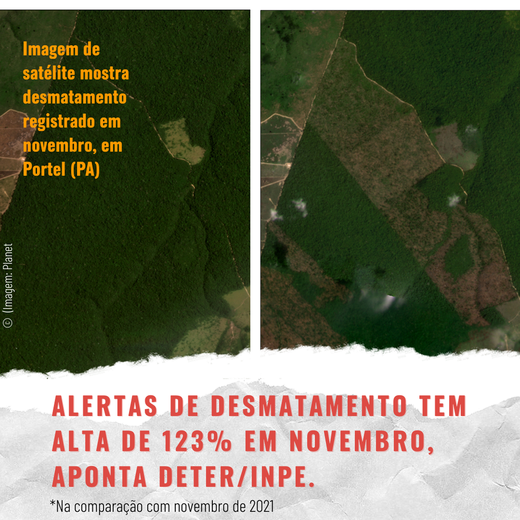 Minecraft – Save Amazônia - Greenpeace Brasil