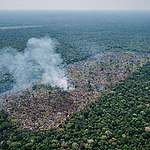 Deter-B registra 555 km² de desmatamento na Amazônia, segundo maior número da série histórica 