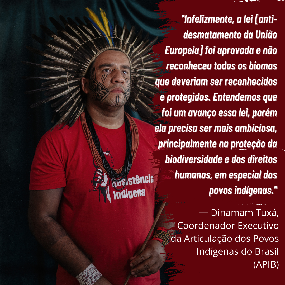 Conheça 4 líderes indígenas inspiradores na COP15