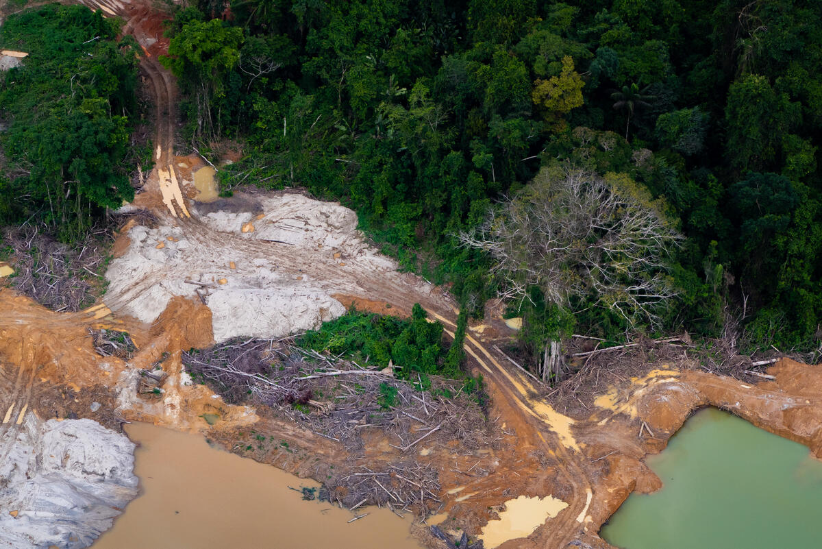 Illegal Road and Machinery in the Yanomami Indigenous Land in the Amazon.