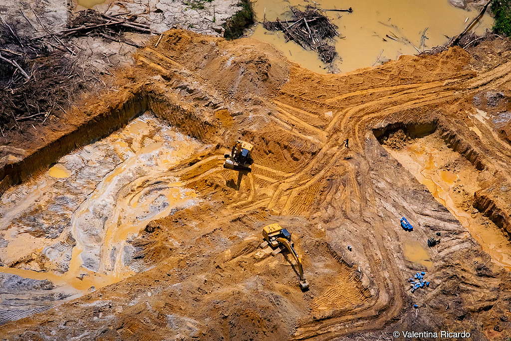  A imagem mostra uma área de desmatamento e atividade de garimpo ilegal, na Amazônia. Duas escavadeiras estão operando no local, indicando a extração de ouro. A imagem é da fotógrafa Valentina Ricardo.