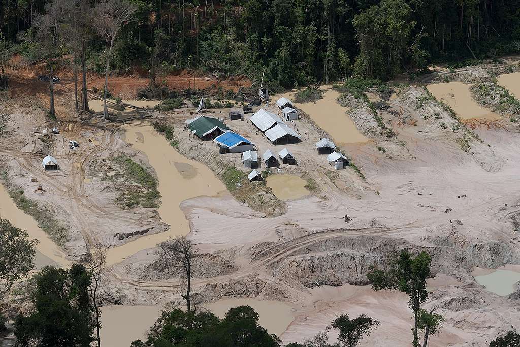 Greenpeace Brasil sobrevoo nas Terras Indígenas Munduruku e Kayapó. 