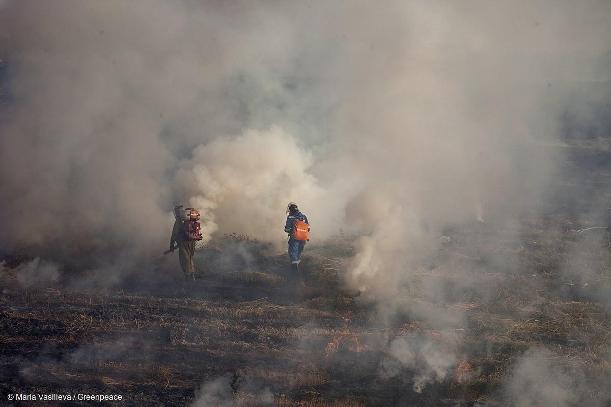 Proteção ambiental é “indesejável” na Rússia